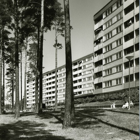 Ett svartvitt foto av träd och byggnader