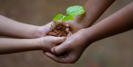 Barnhänder som håller i jord med en liten grön växt i