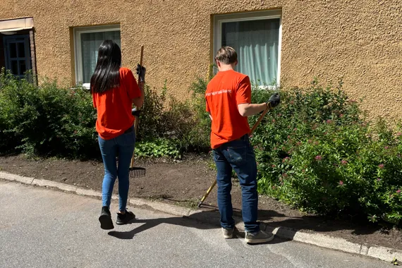 Två personer står med ryggen till och rensar ogräs i en rabatt.