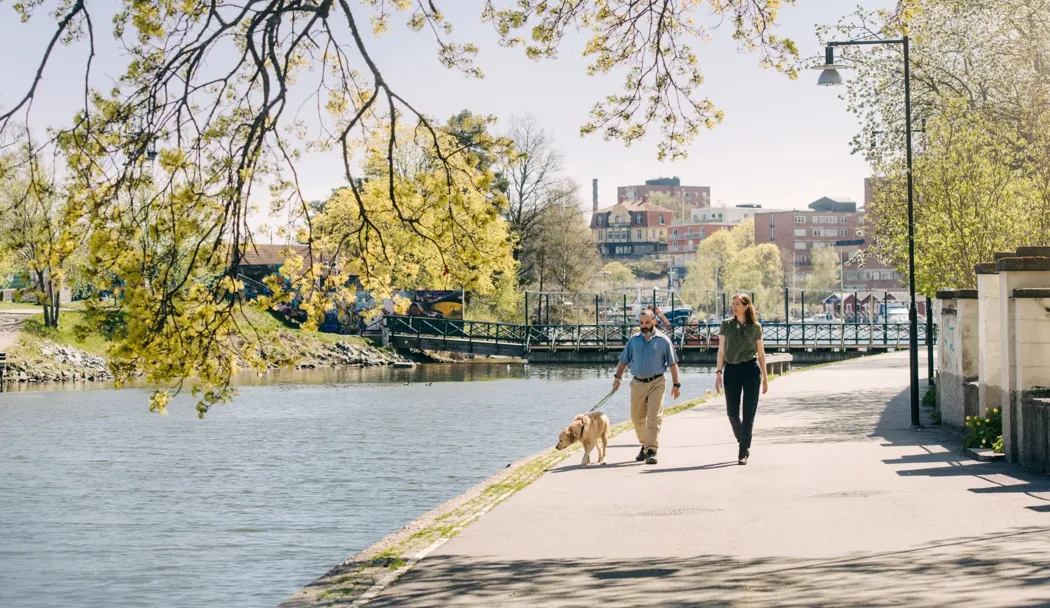 Ett par med hund på promenad vid Maren i Södertälje.